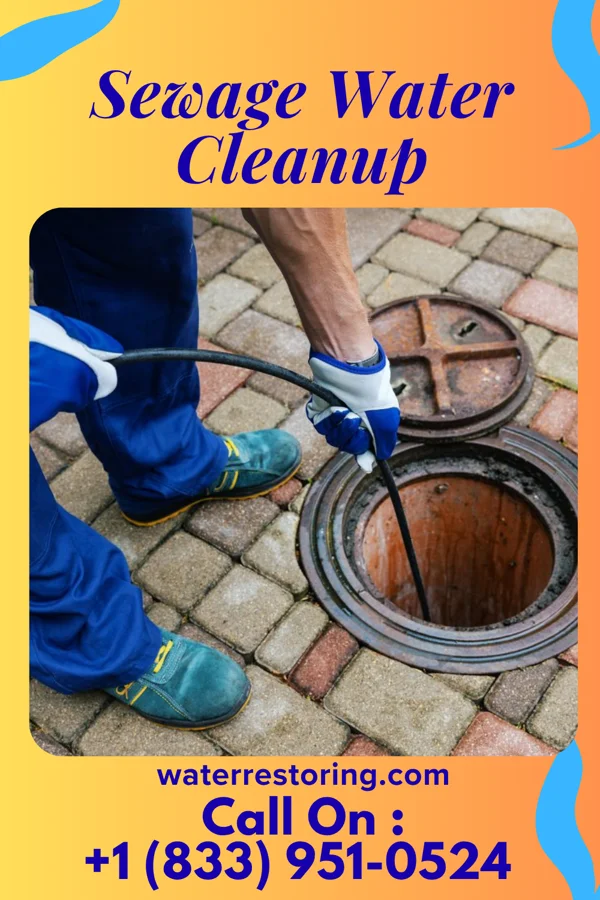 Sewage Water Cleanup in Gantt, SC